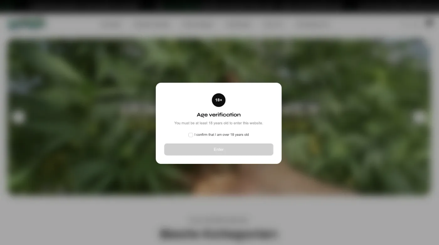 Project Preview 1