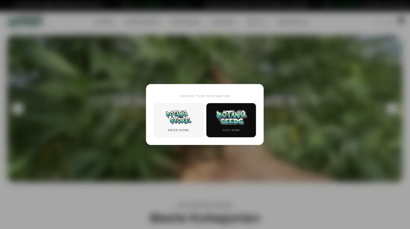 Project Preview 2